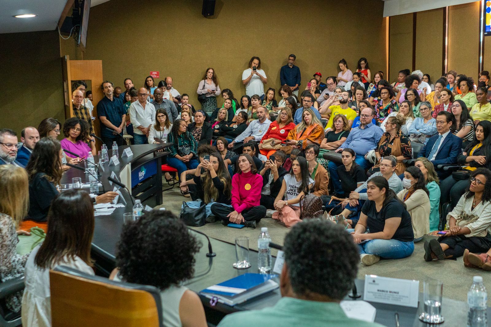 Marina Helou lança Frente Parlamentar pela Primeira Infância