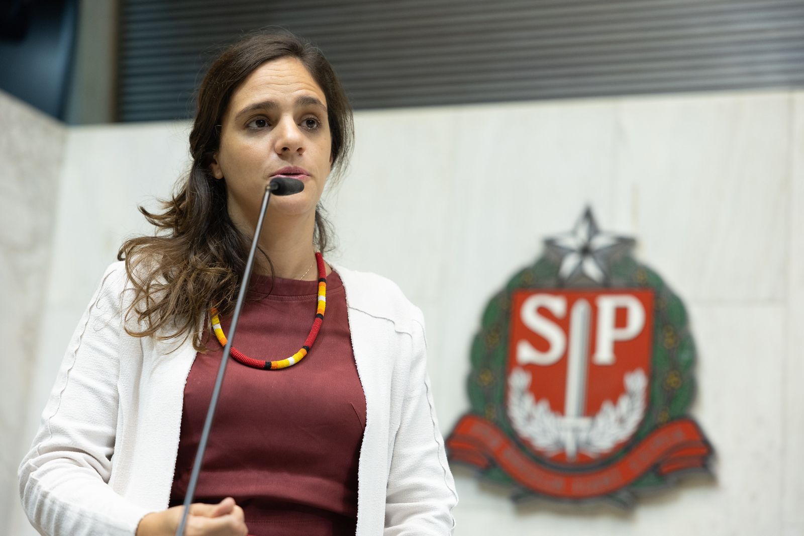 Deputada estadual Marina Helou apresenta prestação de contas de 2023; Confira principais conquistas