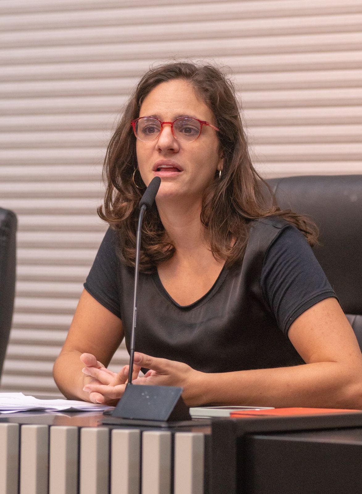 Deputada Marina Helou destina emendas parlamentares com a participação popular