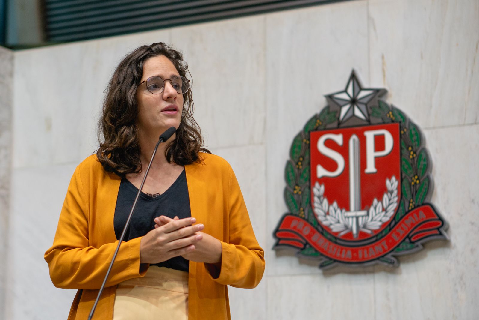 Marina Helou propõe emendas na Lei Orçamentária Anual para crianças, mulheres e meio ambiente