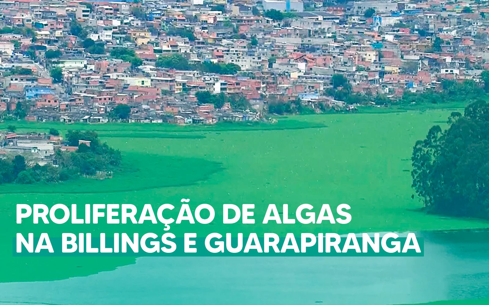 Na semana do Dia Mundial da Água, Represa Billings apresenta seu pior estado